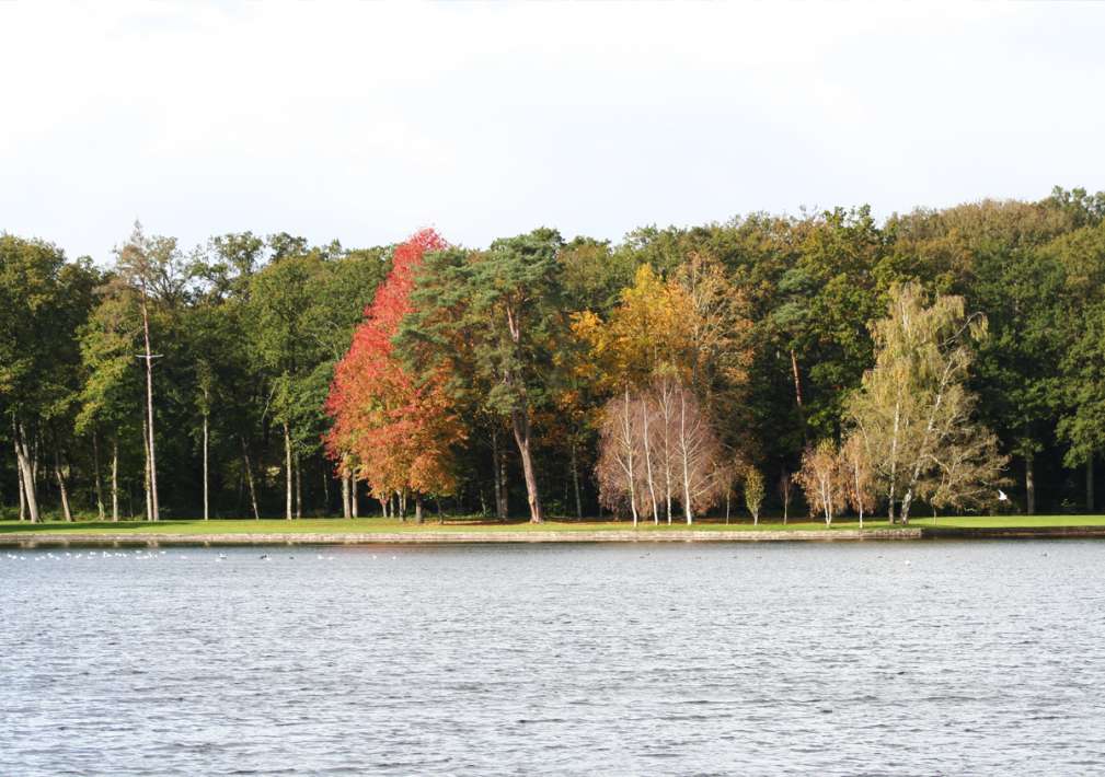 Etang De La Poiteviniere Lake Etang Poiteviniere 2