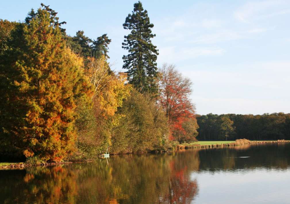 Etang De La Poiteviniere Lake La Lake 4