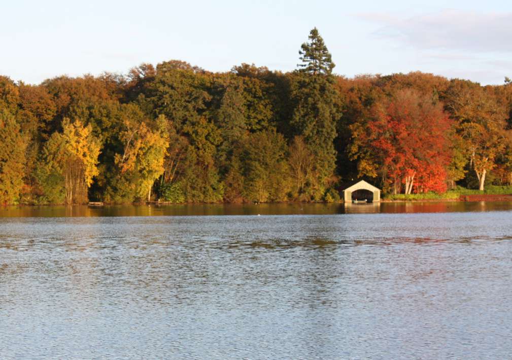 Etang De La Poiteviniere Lake De La 5