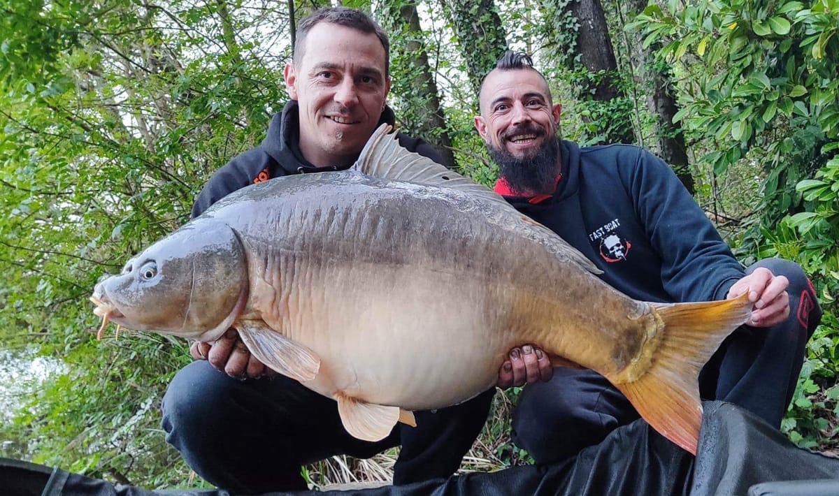 Etang De La Poiteviniere Miror De La Miror