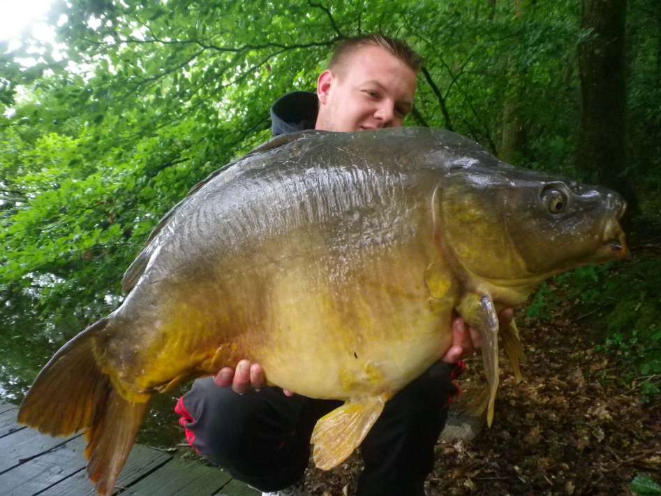Etang De La Poiteviniere Miror De La Carp