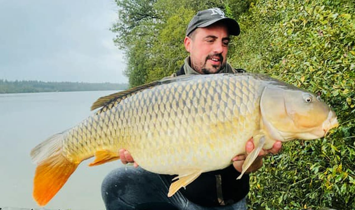 Etang De La Poiteviniere Scale Etang La Carp