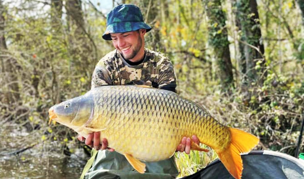 Etang De La Poiteviniere Scale Etang Scale 3