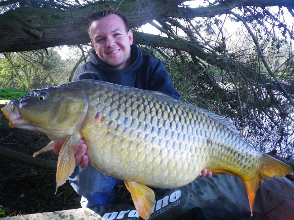 Etang De La Poiteviniere Scale Etang Poiteviniere Scale