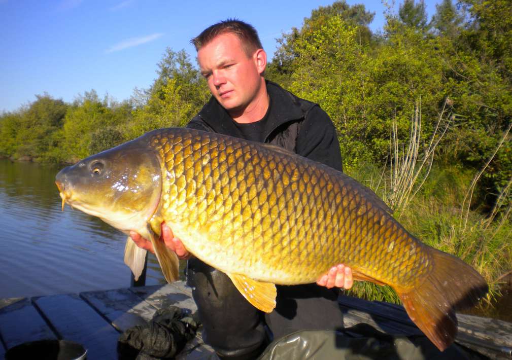 Etang De La Poiteviniere Scale Etang Poiteviniere Carp