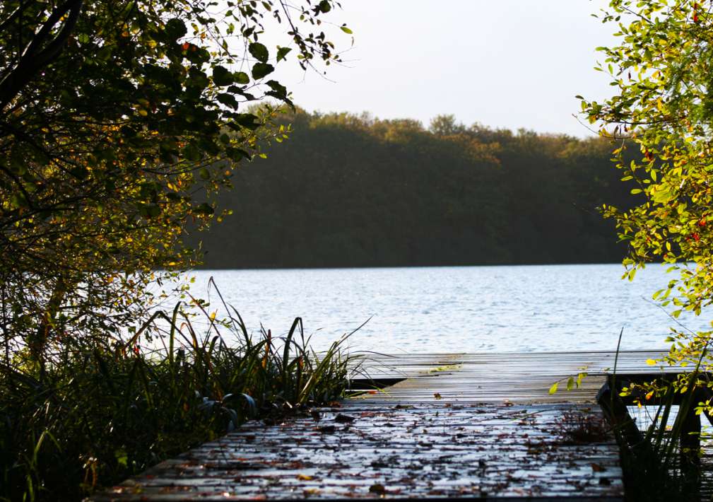 Etang De La Poiteviniere Stijger Etang La Stijger