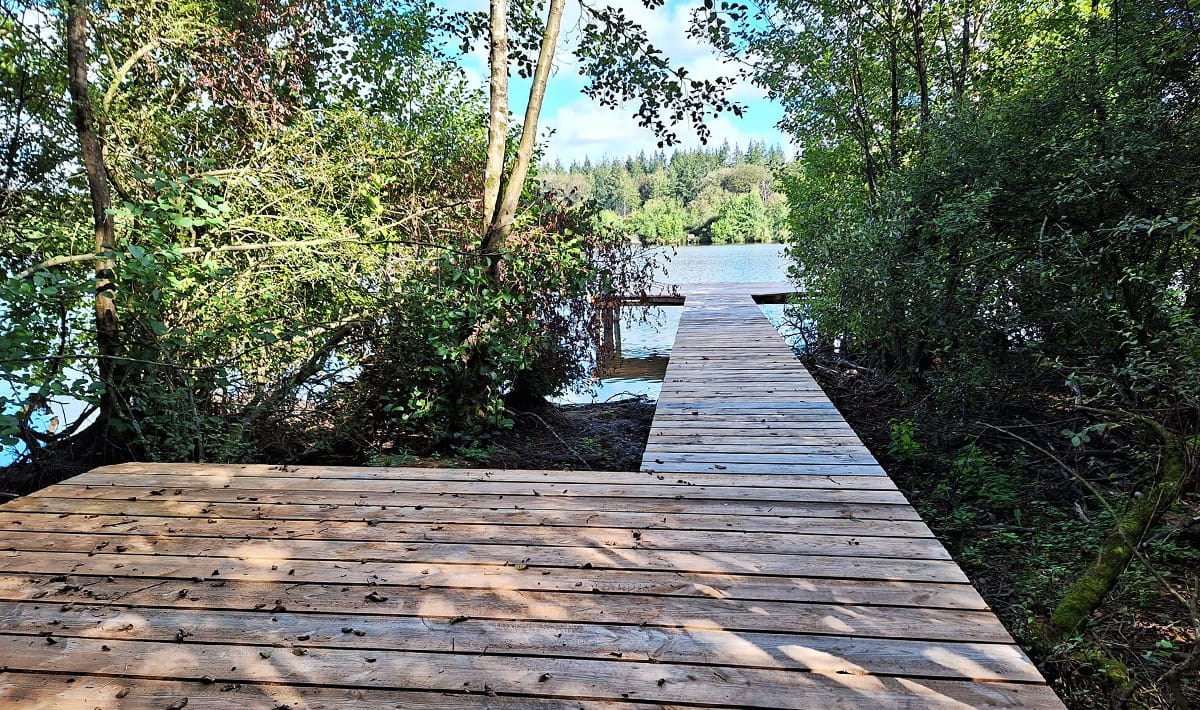 Etang De La Poiteviniere Stijger Etang Poiteviniere Stijger