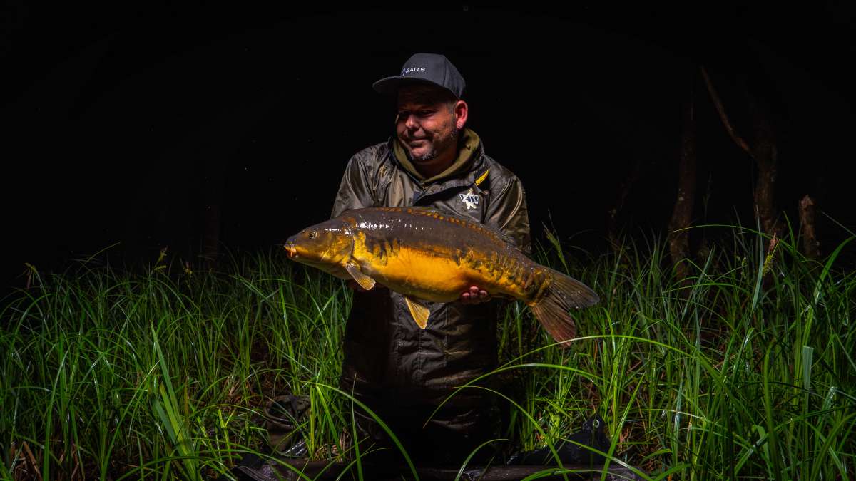 Koi Carp Chateau Lake Poiteviniere Carp Lake Poiteviniere