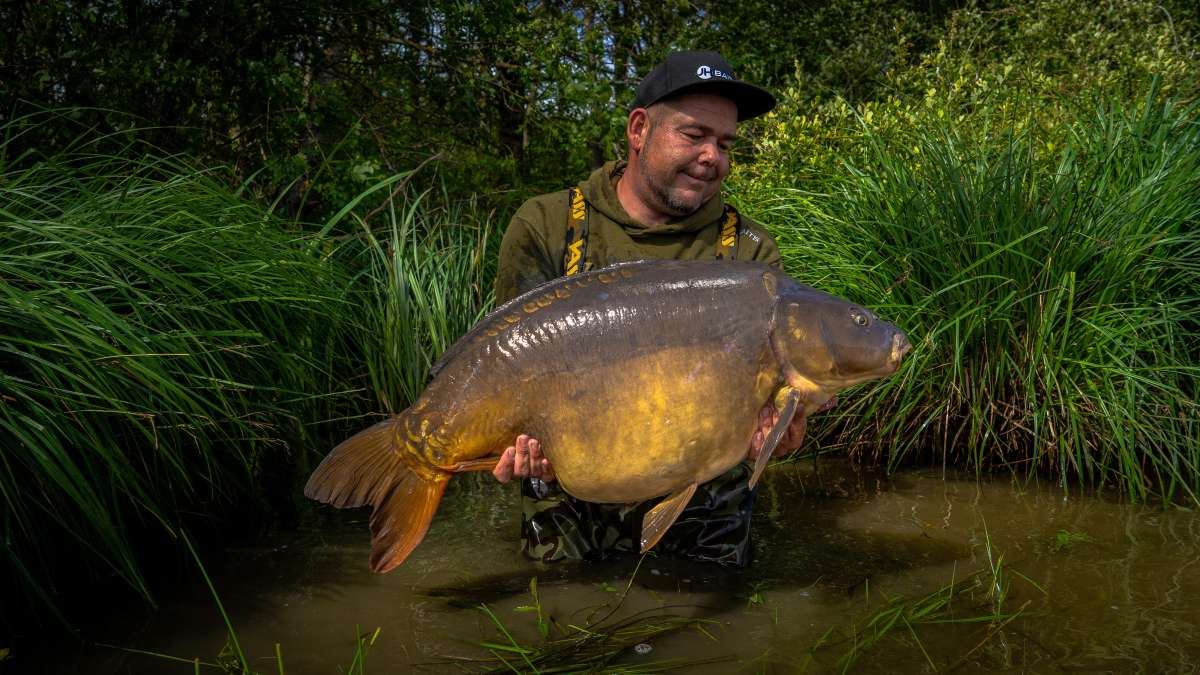 Mirror Carp Chateau Lake Poiteviniere Carp Chateau Lake