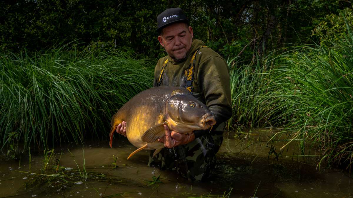 Mirror Carp Chateau Lake Poiteviniere Carp Chateau 3