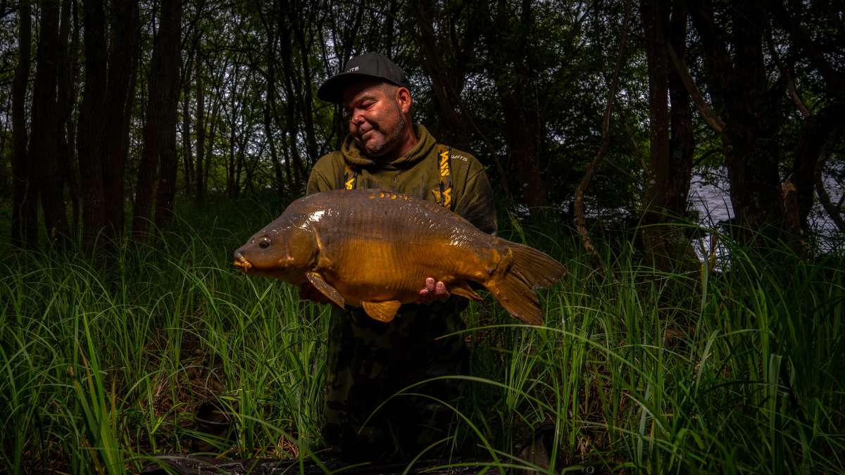 Mirror Carp Chateau Lake Poiteviniere Carp Chateau 1