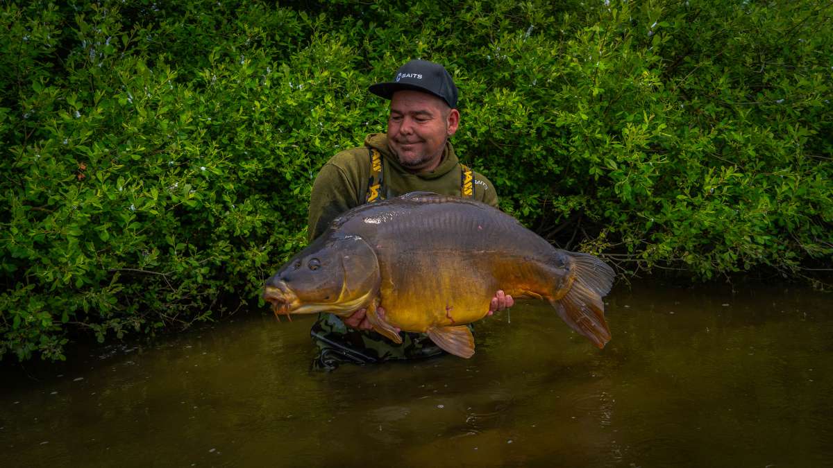 Mirror Carp Chateau Lake Poiteviniere Carp Lake Poiteviniere