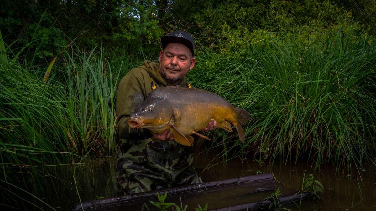 Mirror Carp Chateau Lake Poiteviniere Mirror Chateau Lake
