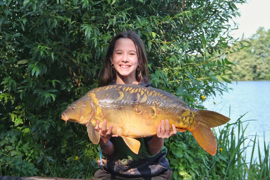 Chateliers Volschub Mylan Chateliers Volschub Mylan