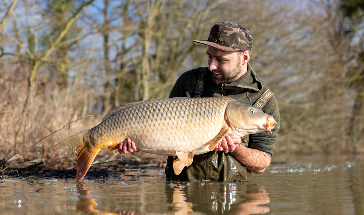 Karper Chateliers Karpervissen Frankrijk Betaalwater Karper Chateliers Karpervissen