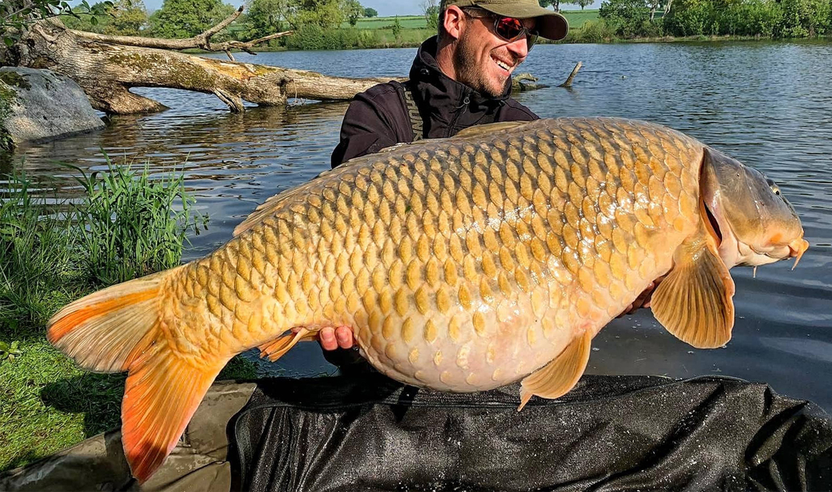 Karper Chateliers Karpervissen Frankrijk Betaalwater Karpervissen Frankrijk 2
