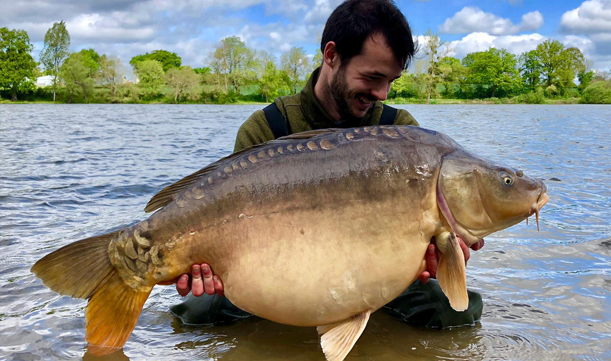 Karper Chateliers Karpervissen Frankrijk Betaalwater Chateliers Karpervissen Frankrijk