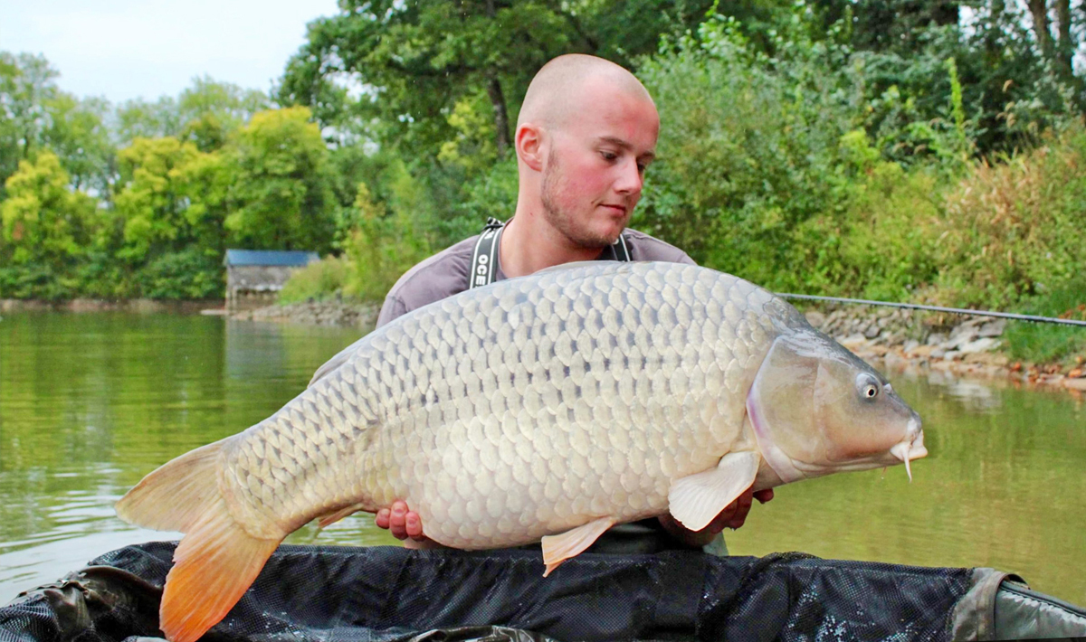Karper Chateliers Karpervissen Frankrijk Betaalwater Chateliers Frankrijk Betaalwater