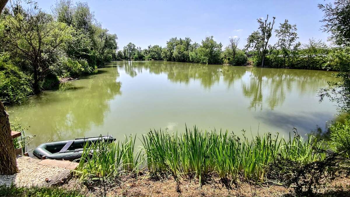 Etang Du Bambou Accommodatie Aan Etang Bambou 3