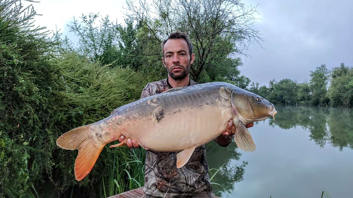 Etang Du Bambou Karpervissen Vakantie Du Vakantie Vissen