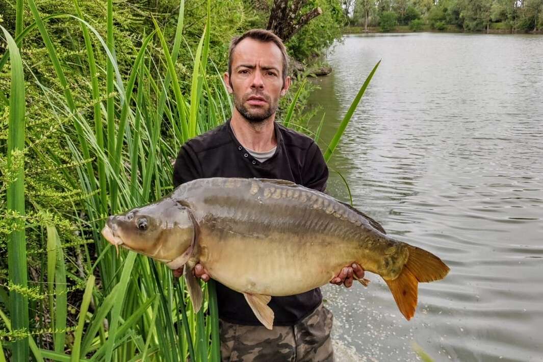 Etang Du Bambou Karpervissen Vakantie Etang Du Bambou