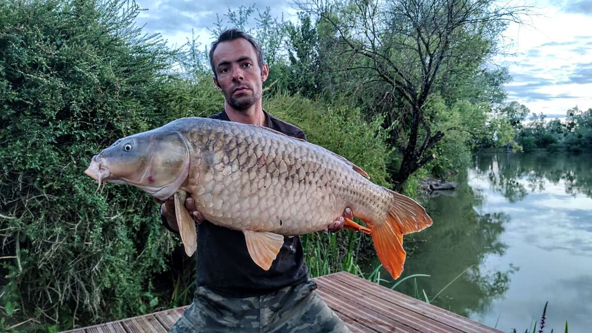Etang Du Bambou Karpervissen Vakantie Du Frankrijk 2