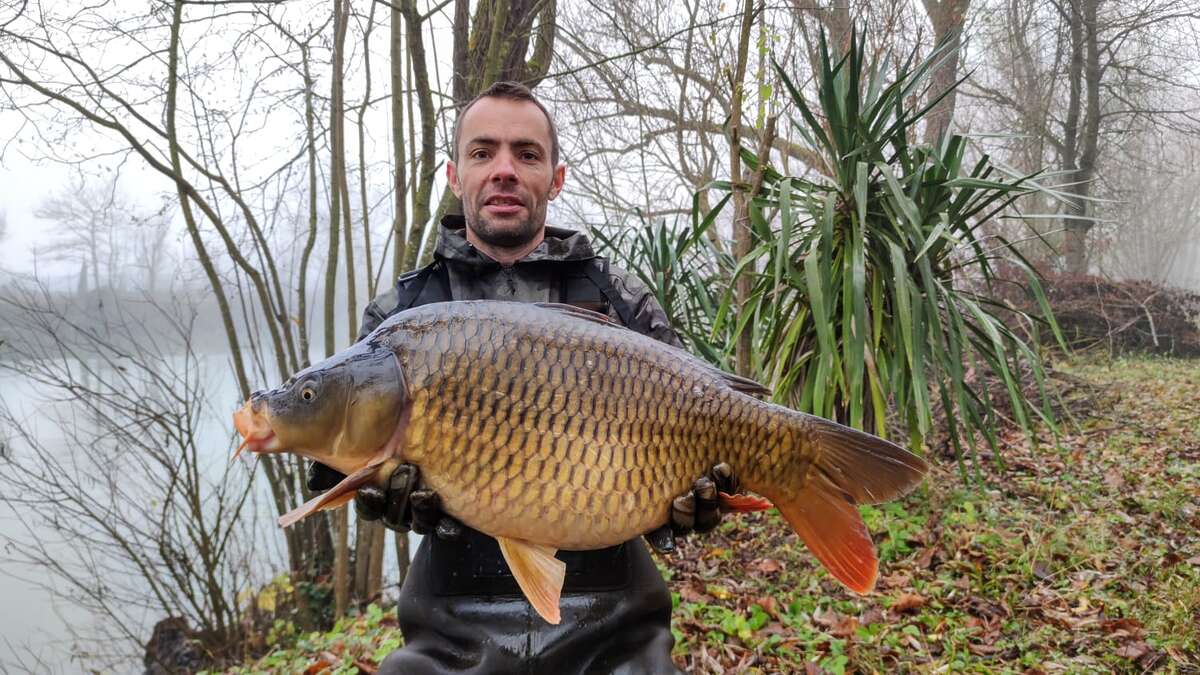 Etang Du Bambou Karpervissen Vakantie Etang Du Karpervissen