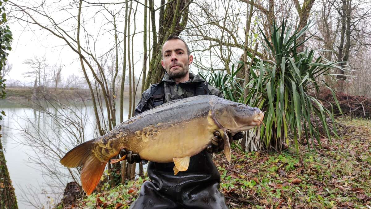 Etang Du Bambou Karpervissen Vakantie Etang Karpervissen 4