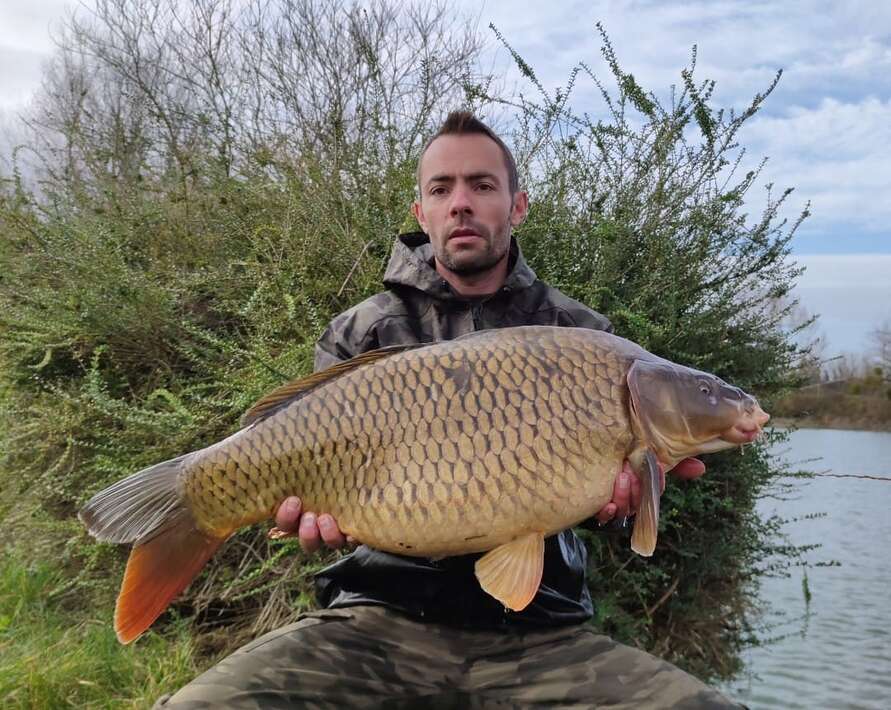 Etang Du Bambou Karpervissen Vakantie Etang Du Vissen