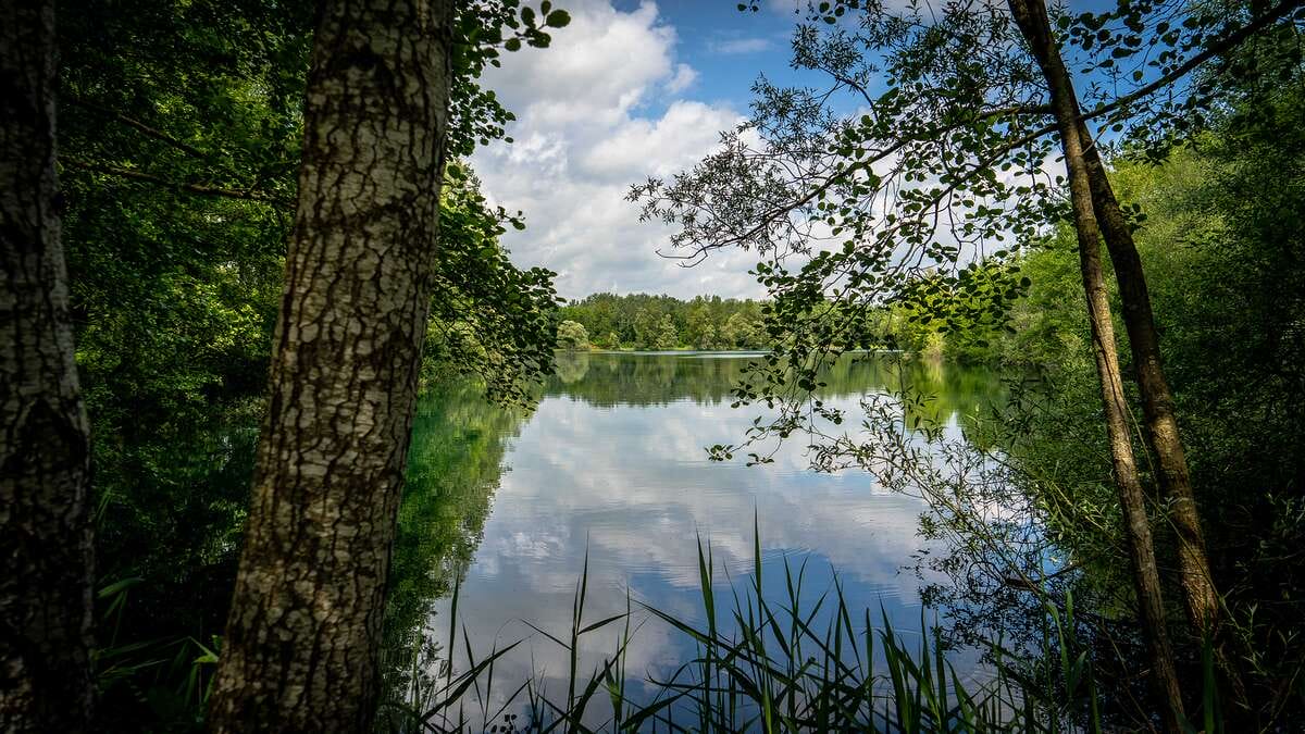 Etang Du Garnd Christoph Lassicourt Etang Du Uitzicht