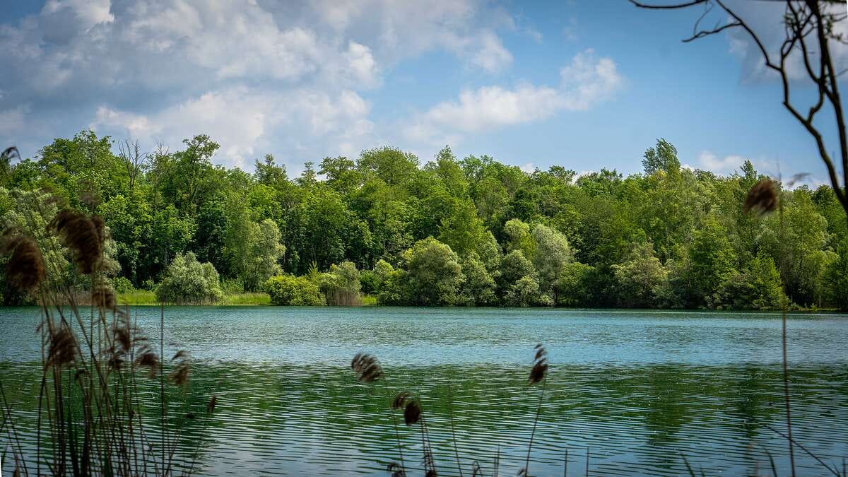 Etang Du Garnd Christoph Lassicourt Garnd Lassicourt Uitzicht