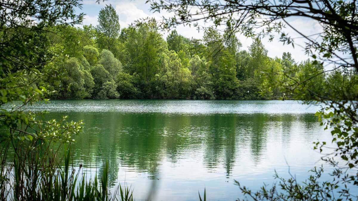 Etang Du Garnd Christoph Lassicourt Du Lassicourt 3