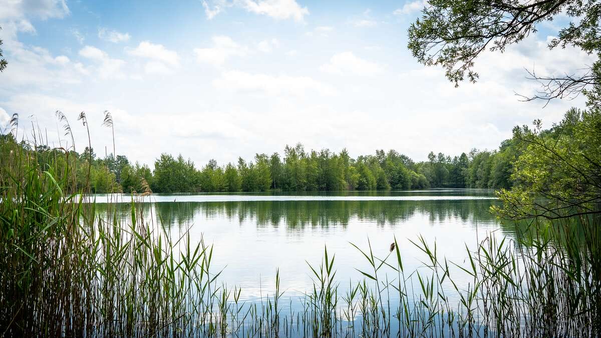 Etang Du Garnd Christoph Lassicourt Du Christoph Frankrijk