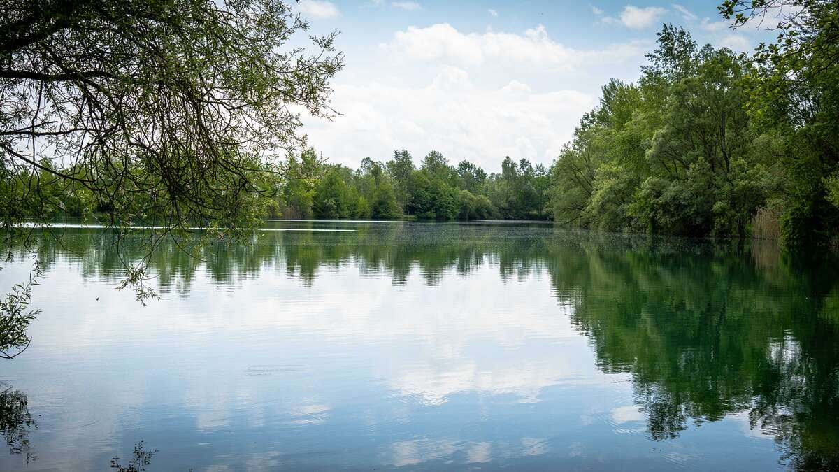 Etang Du Garnd Christoph Lassicourt Du Garnd Frankrijk