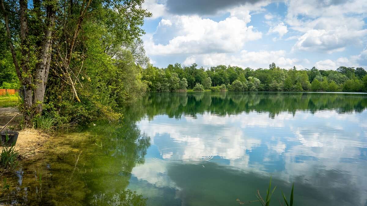Etang Du Garnd Christoph Lassicourt Lassicourt Frankrijk Uitzicht