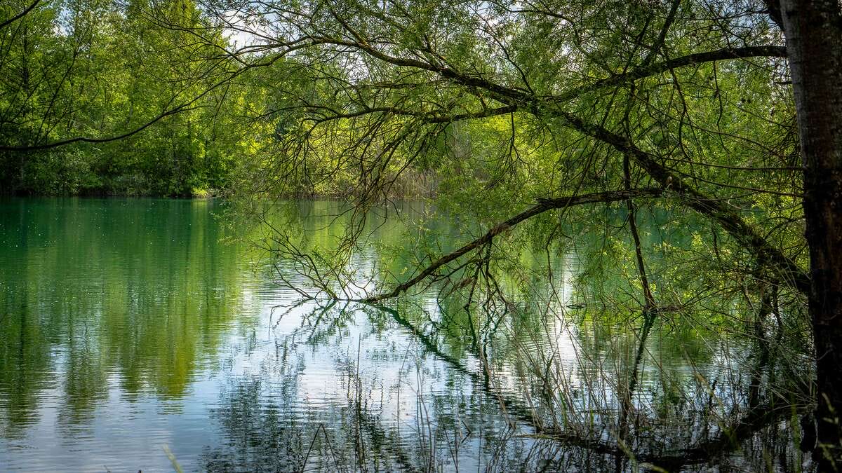 Etang Du Grand Christoph Frankrijk Du Grand Meer