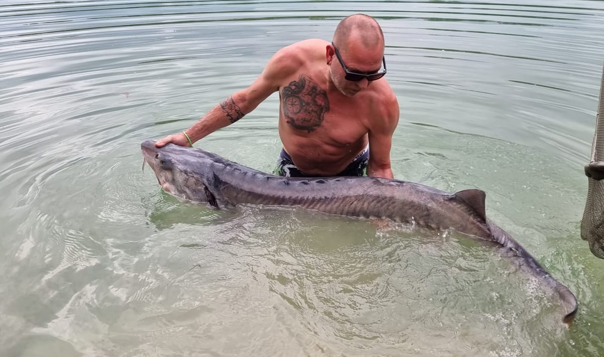 Etang Du Grand Christoph Steur Du Grand 2