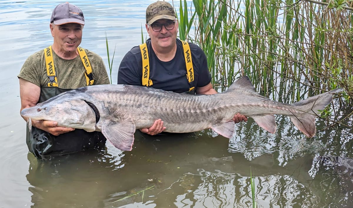 Etang Du Grand Christoph Steur Etang Christoph Steur