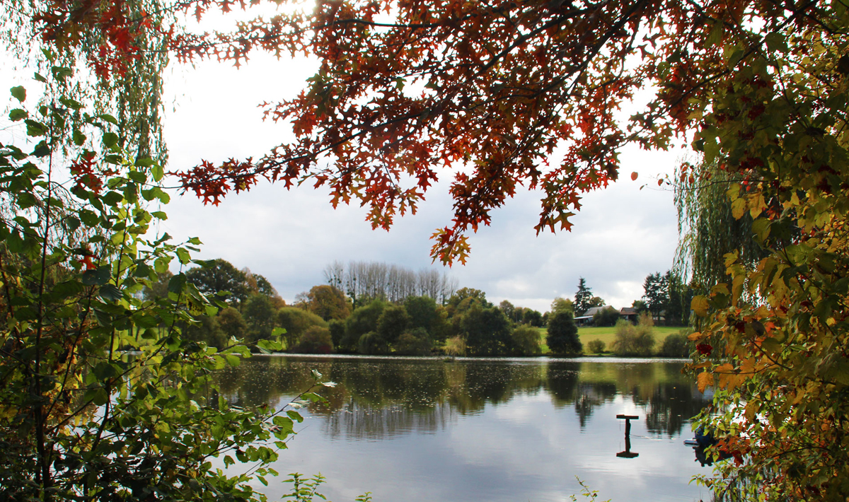 Sfeer Marolles Vissen Frankrijk Visvakantie Visvakantie Bivvy 2