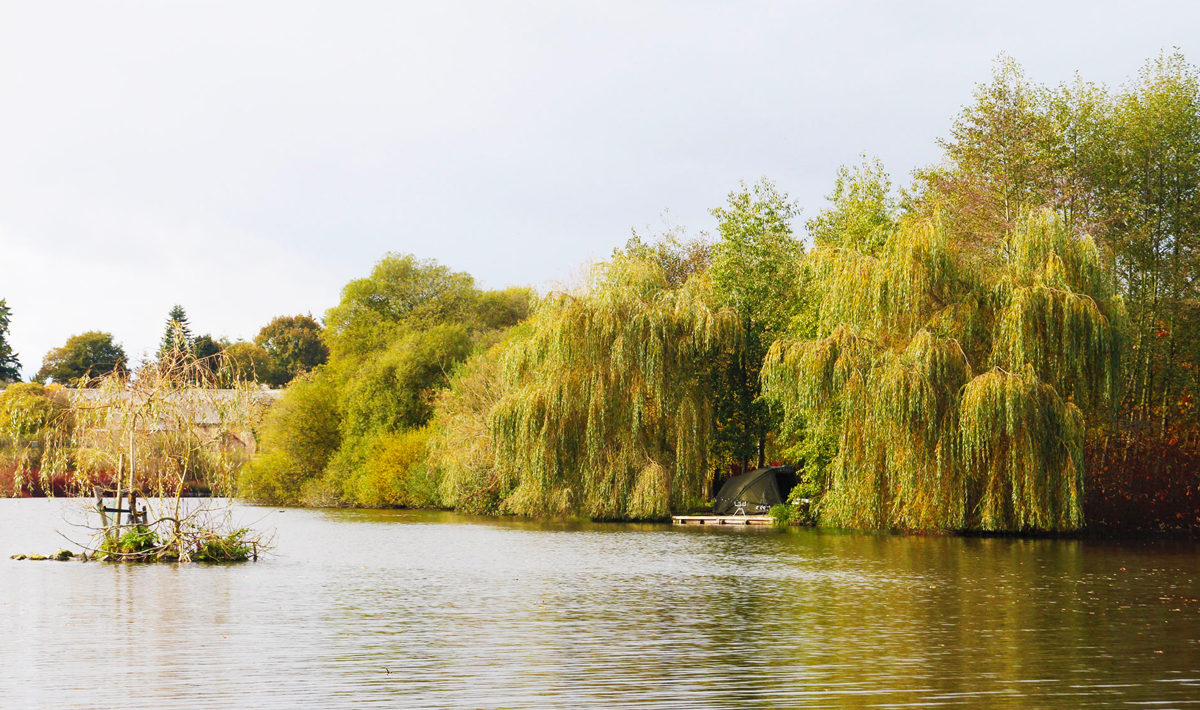 Sfeer Marolles Vissen Frankrijk Visvakantie Marolles Bivvy 4