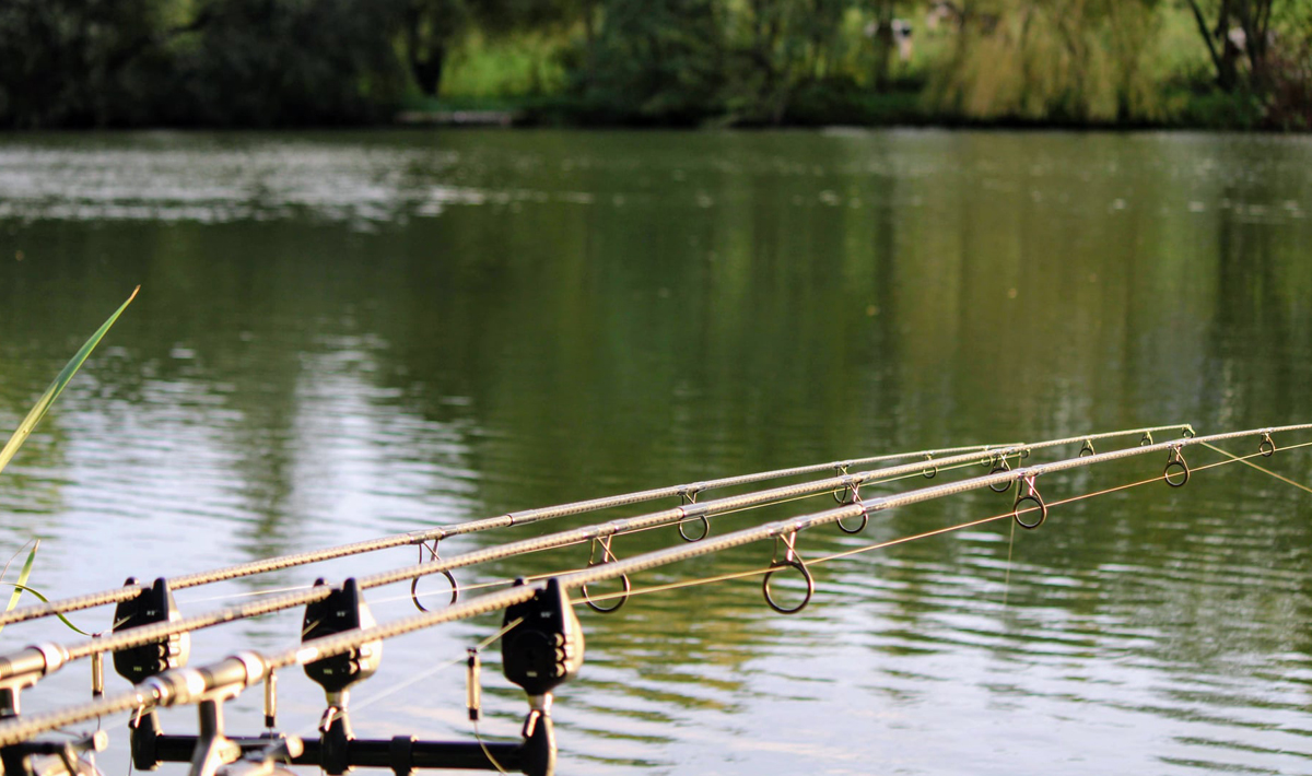 Sfeer Marolles Vissen Frankrijk Visvakantie Sfeer Vissen Bivvy