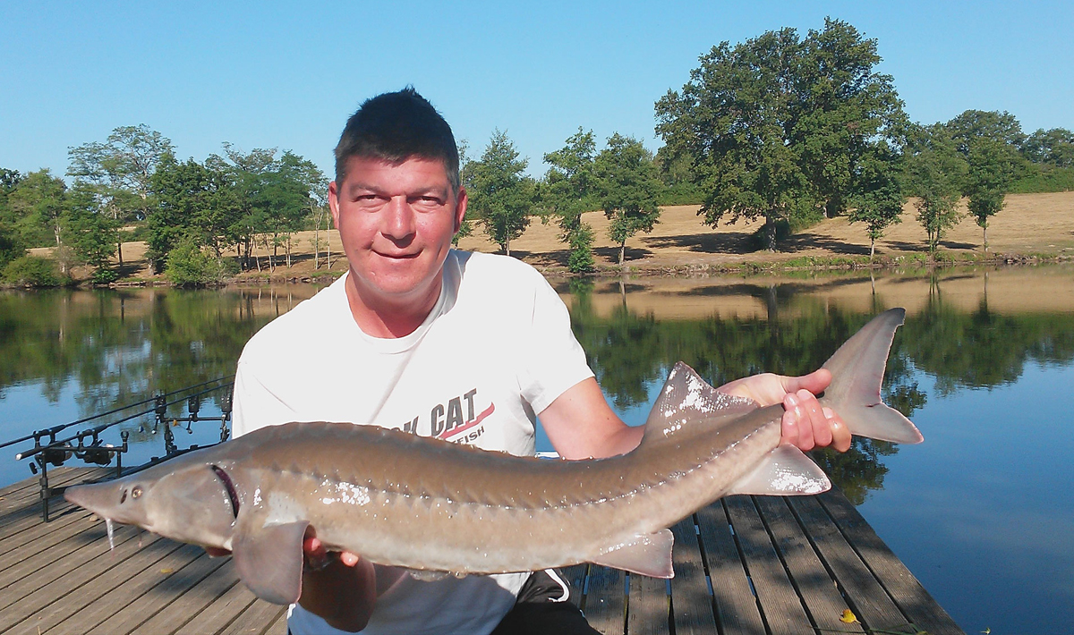 Karper Etang Morlou Visvakantie Frankrijk Morlou Visvakantie Frankrijk