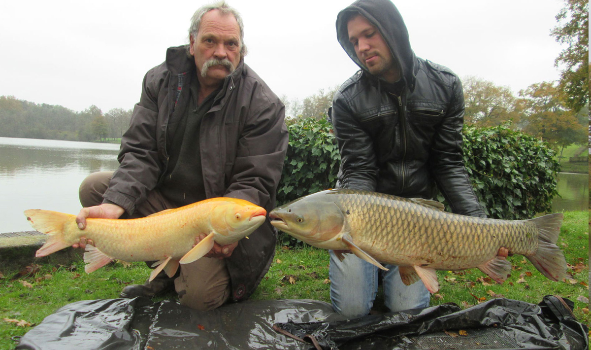 Karper Etang Morlou Visvakantie Frankrijk Karper Morlou Frankrijk