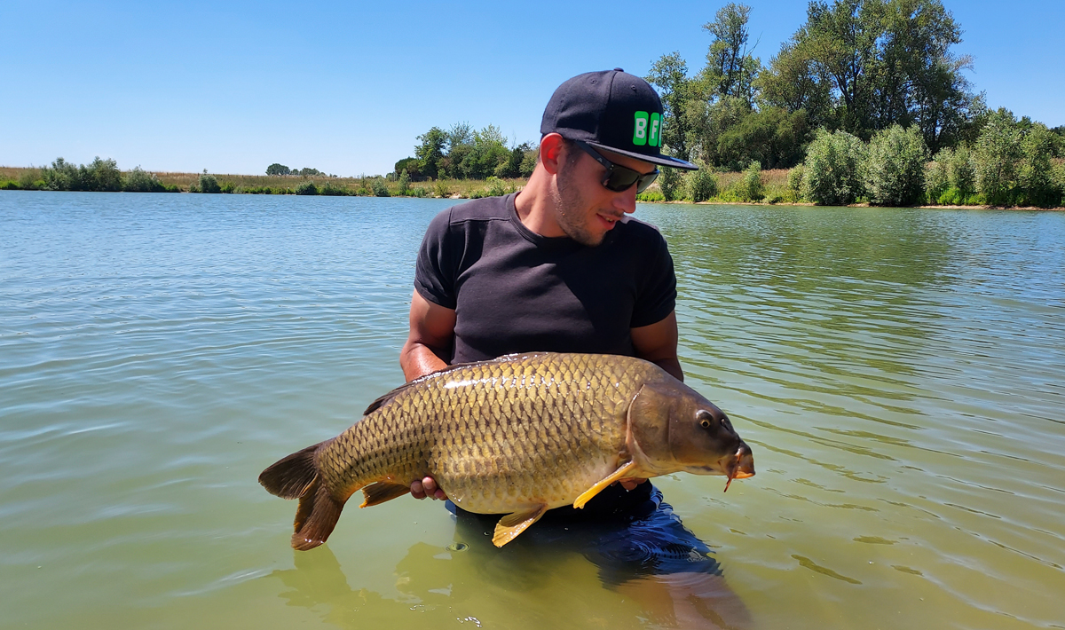 Karper Etang Ulysse Karpervissen Noord Ulysse Noord 1