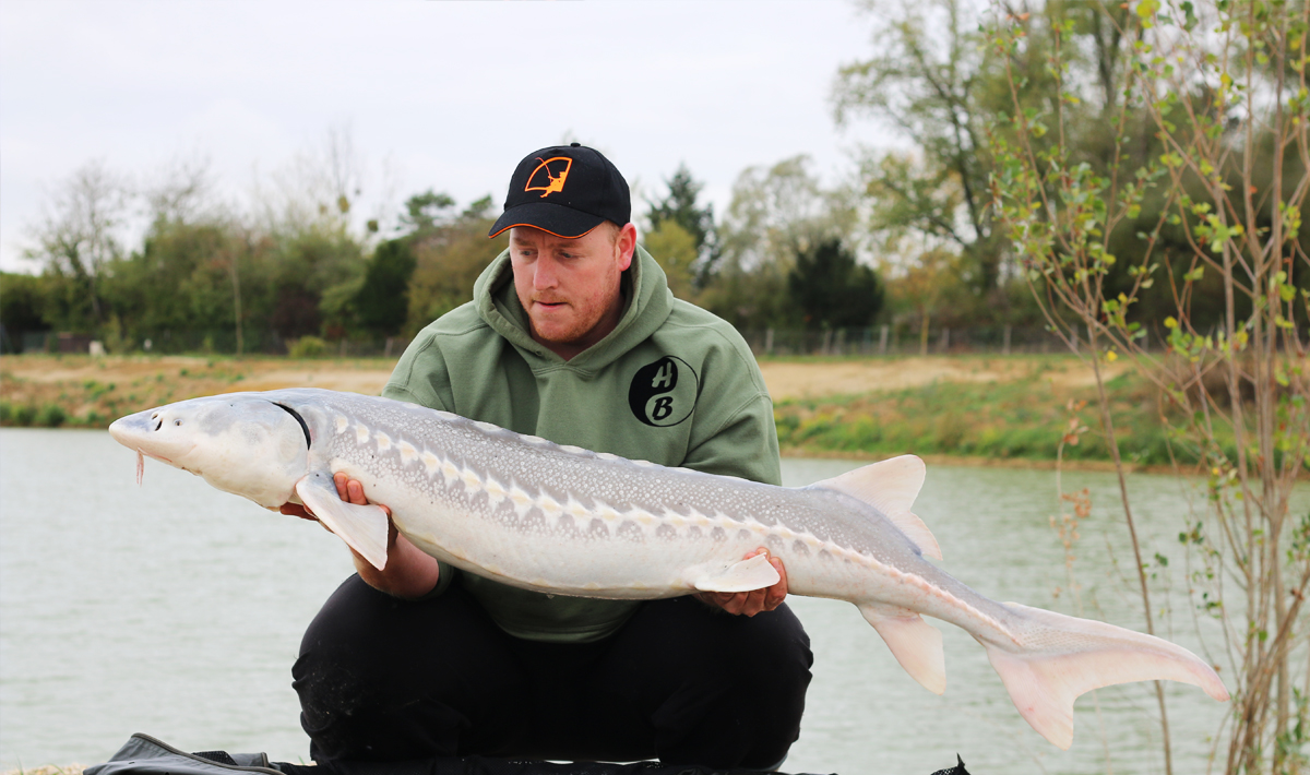Karper Etang Ulysse Karpervissen Noord Noord Frankrijk Visvakantie