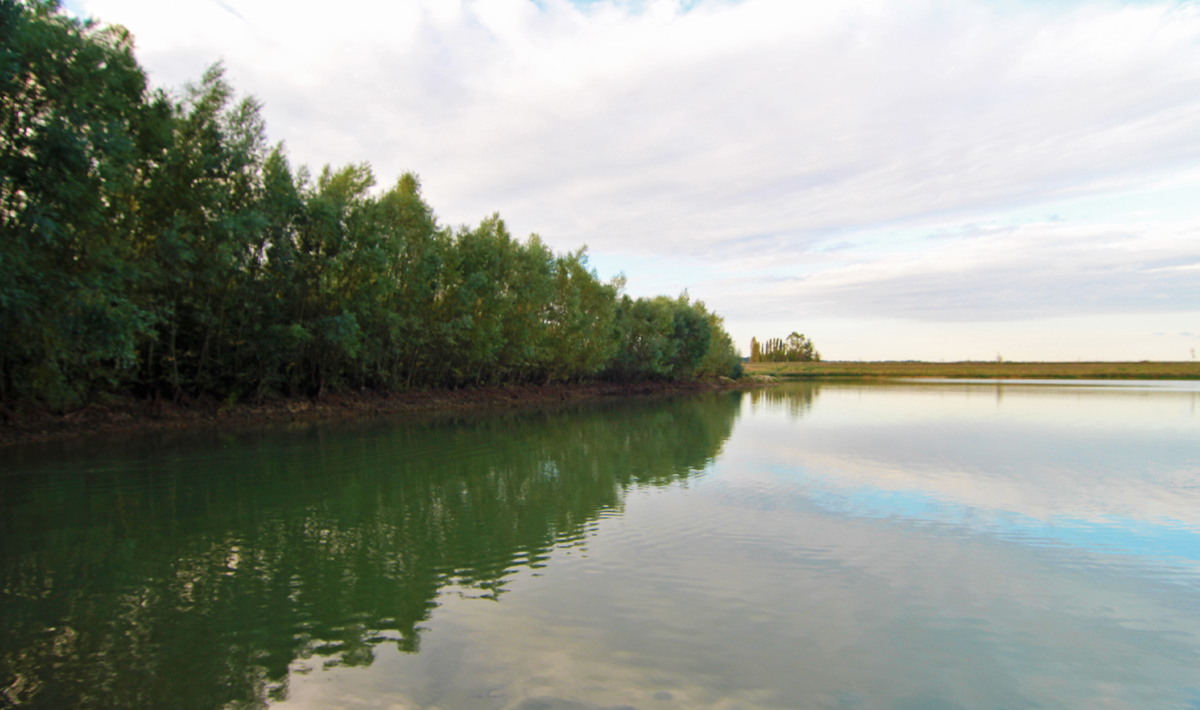 Sfeer Etang Ulysse Karpervissen Noord Etang Noord 4