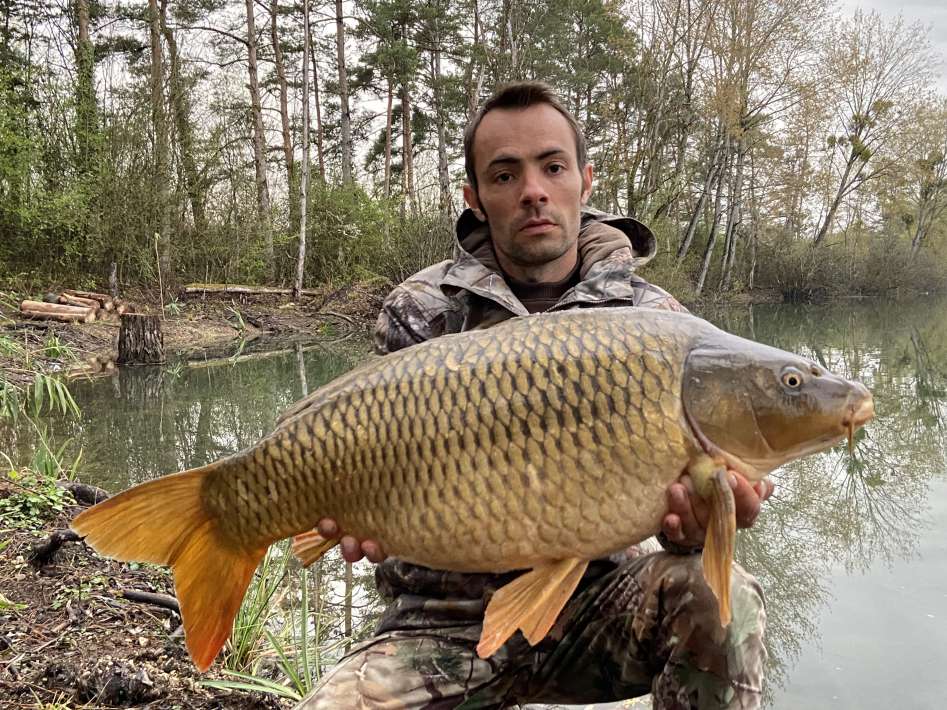 Lanodonte Karpervissen Noord Frankrijk 1 Karpervissen Noord 1