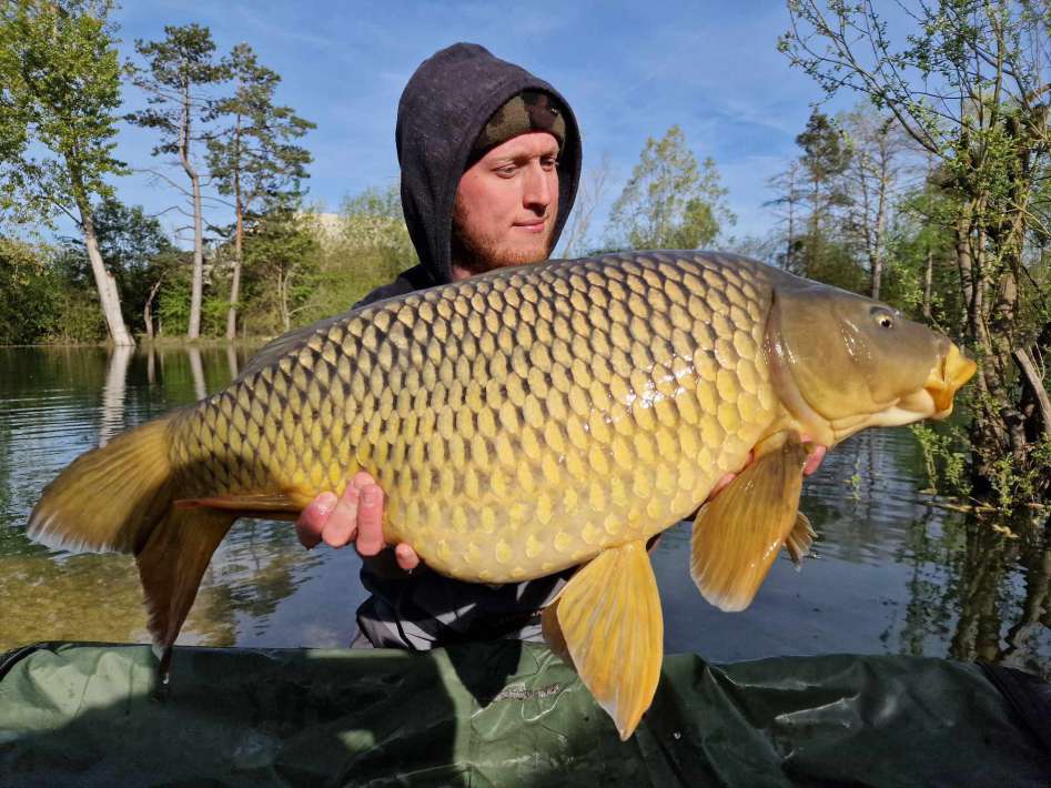 Lanodonte Karpervissen Noord Frankrijk 19 Karpervissen Noord 19