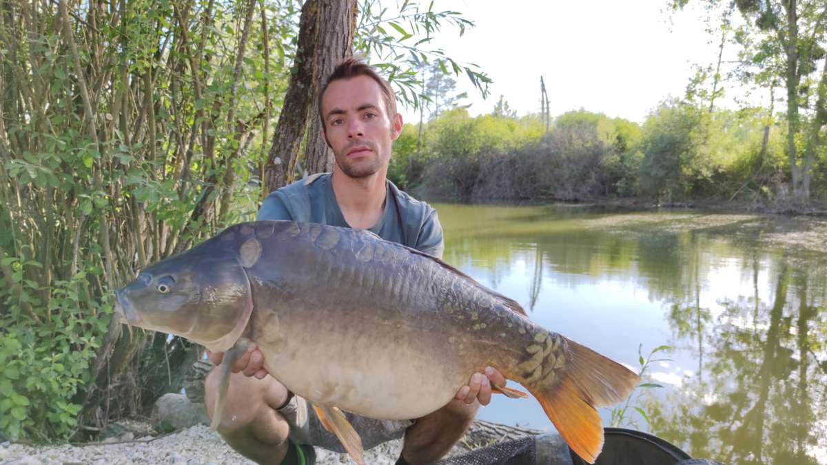 Lanodonte Karpervissen Noord Frankrijk 2 Lanodonte Noord Frankrijk