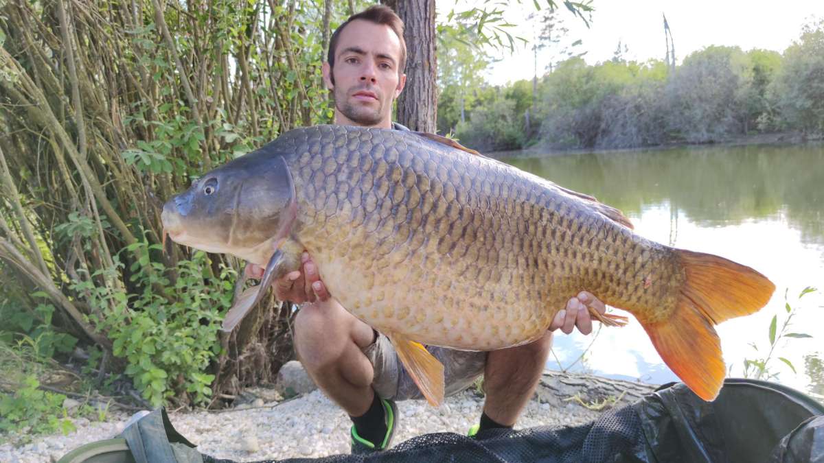 Lanodonte Karpervissen Noord Frankrijk 3 Karpervissen Frankrijk 3